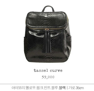 tassel curve_bag(black)
